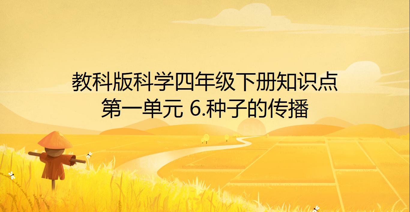 四年级下册科学种子里孕育新生命,教科版科学四年级下册果实和种子