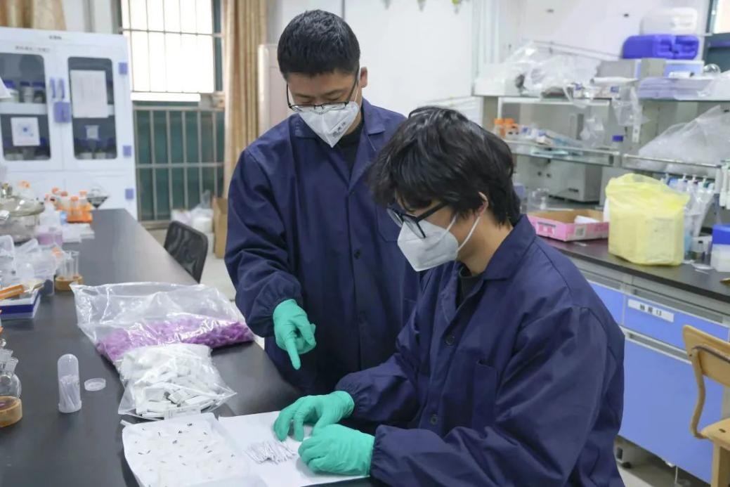 抗原自测盒手工制作,抗原检测盒手工制作