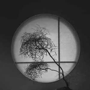 禅修中如何做心理治疗,禅修解决焦虑