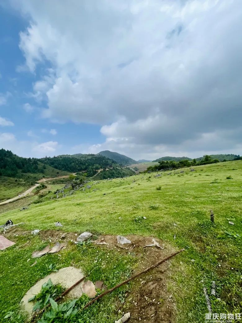 小长假旅游景点大全,夏季周边旅游美食之旅