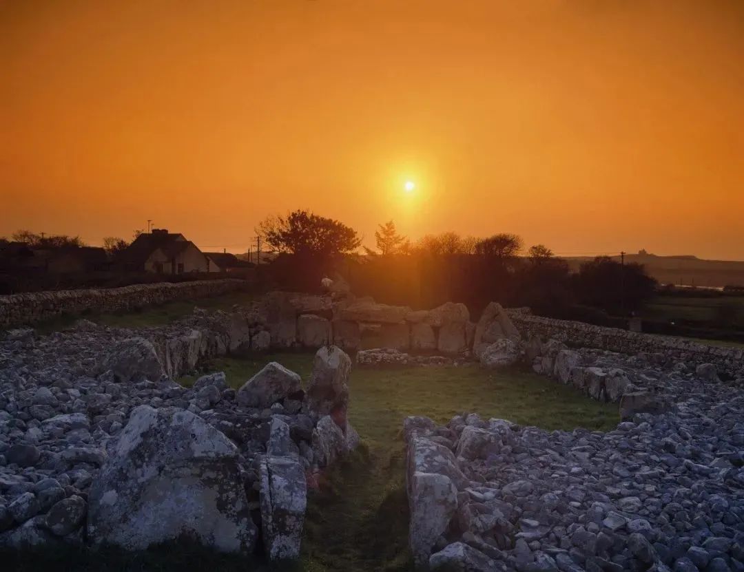 真实比虚无更让人迷失|绿洲比沙漠更致命《环形废墟》