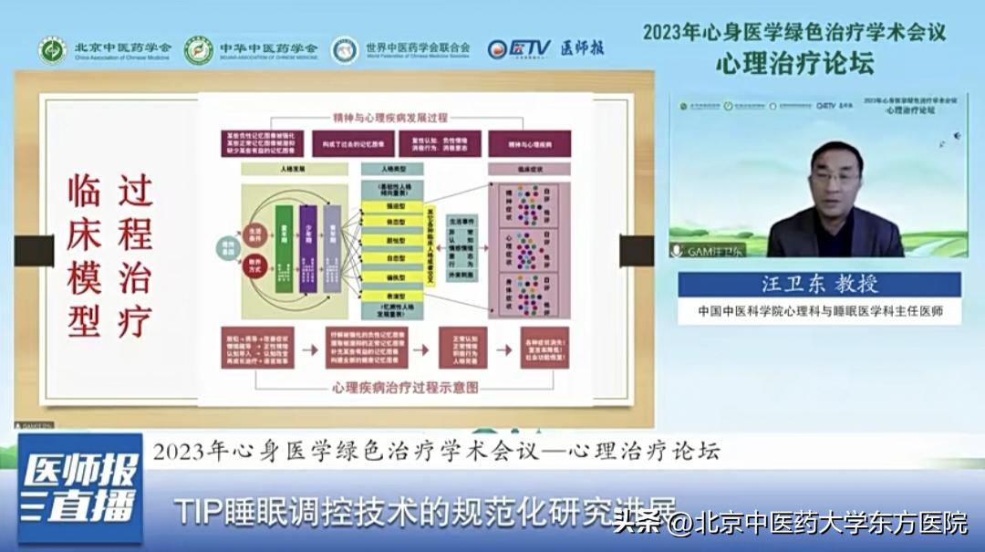 2023年心身医学绿色治疗学术会议顺利召开