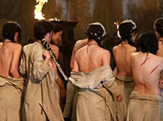 百年王朝千年世家意思,百年王朝千年世家