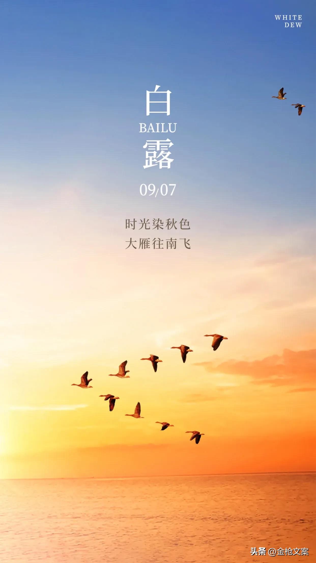 蒹葭苍苍白露为霜是否形容节气,蒹葭苍苍白露为霜最有诗意的节气