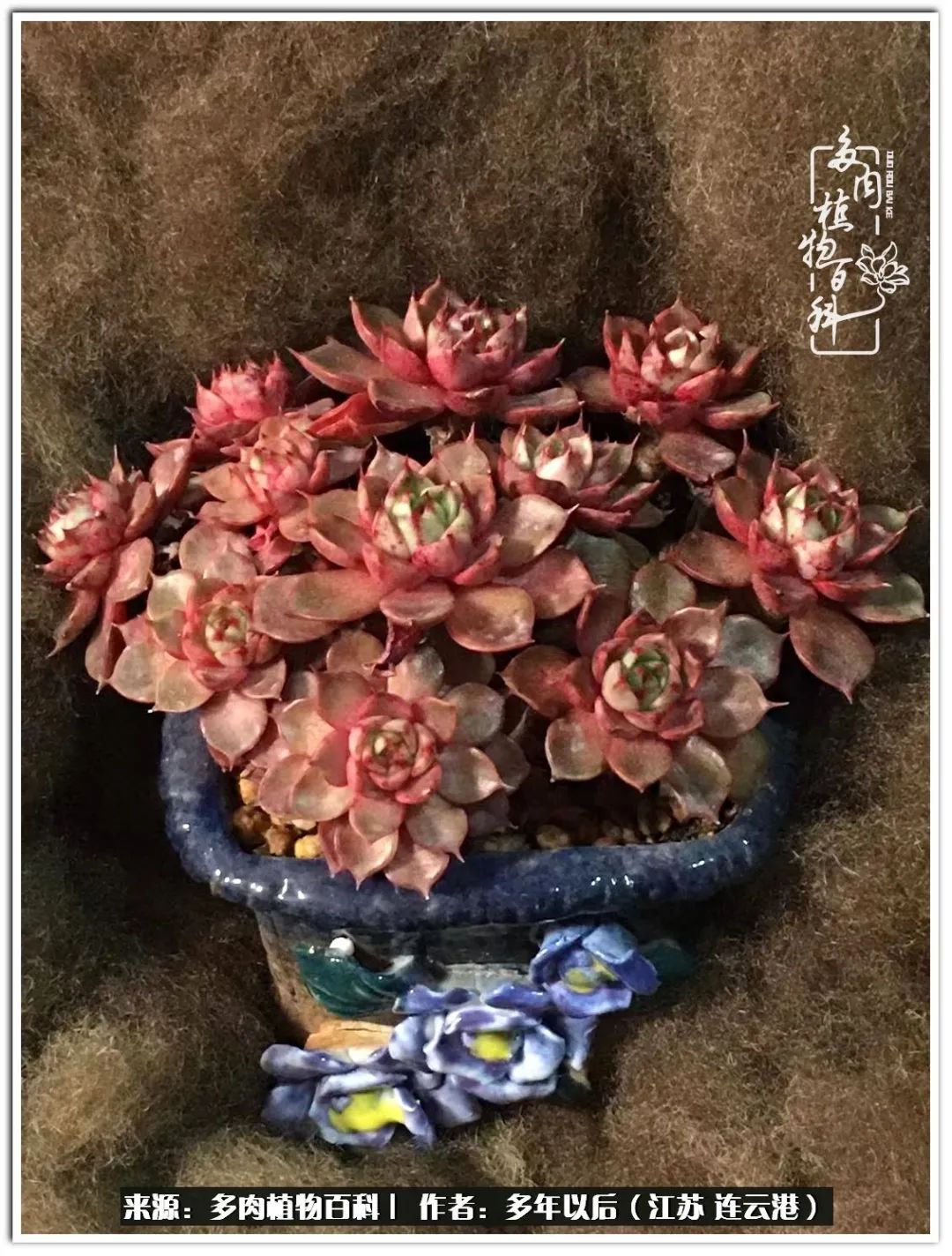 我若不弃，愿你不负我所期