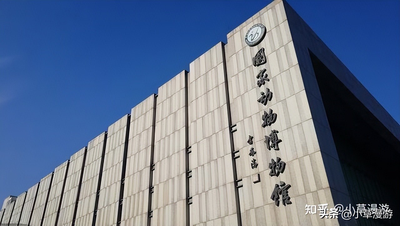 国内最值得去的十大博物馆,北京冷门博物馆