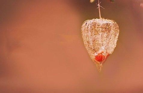 36岁，未婚怀孕5个月，男朋友却不想结婚：我该怎么办？