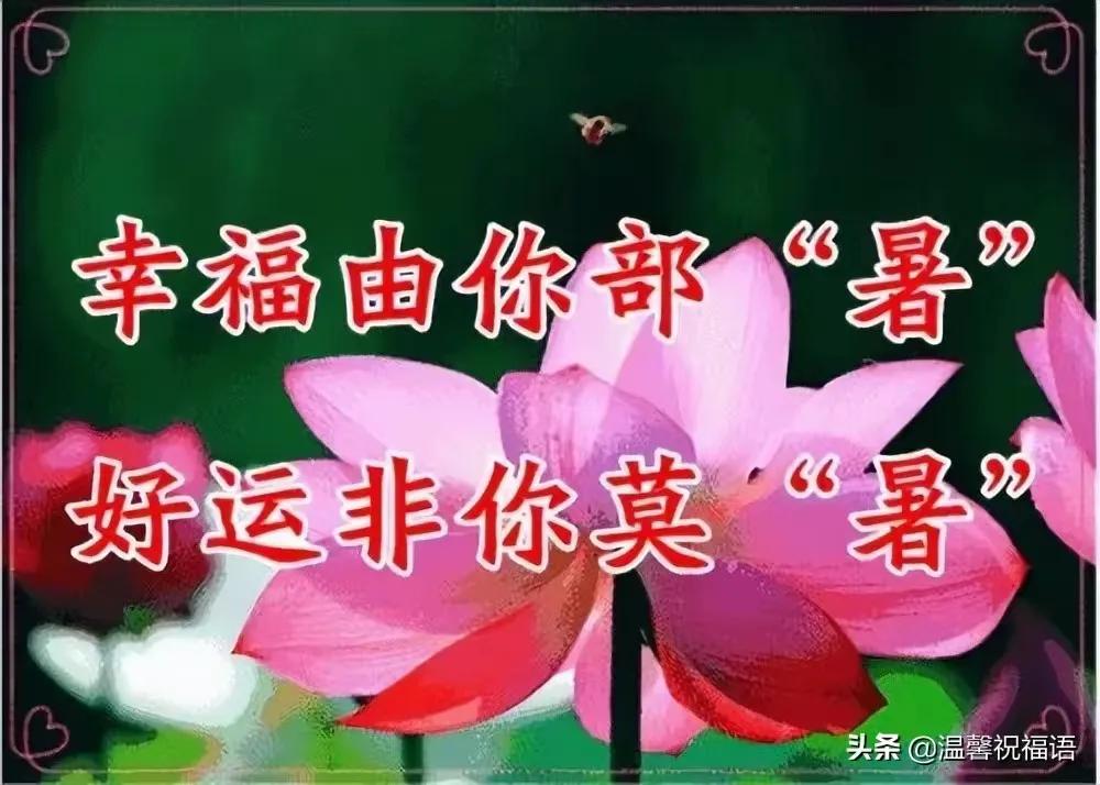 小暑节气最美问候图片,小暑节气早安问候图片
