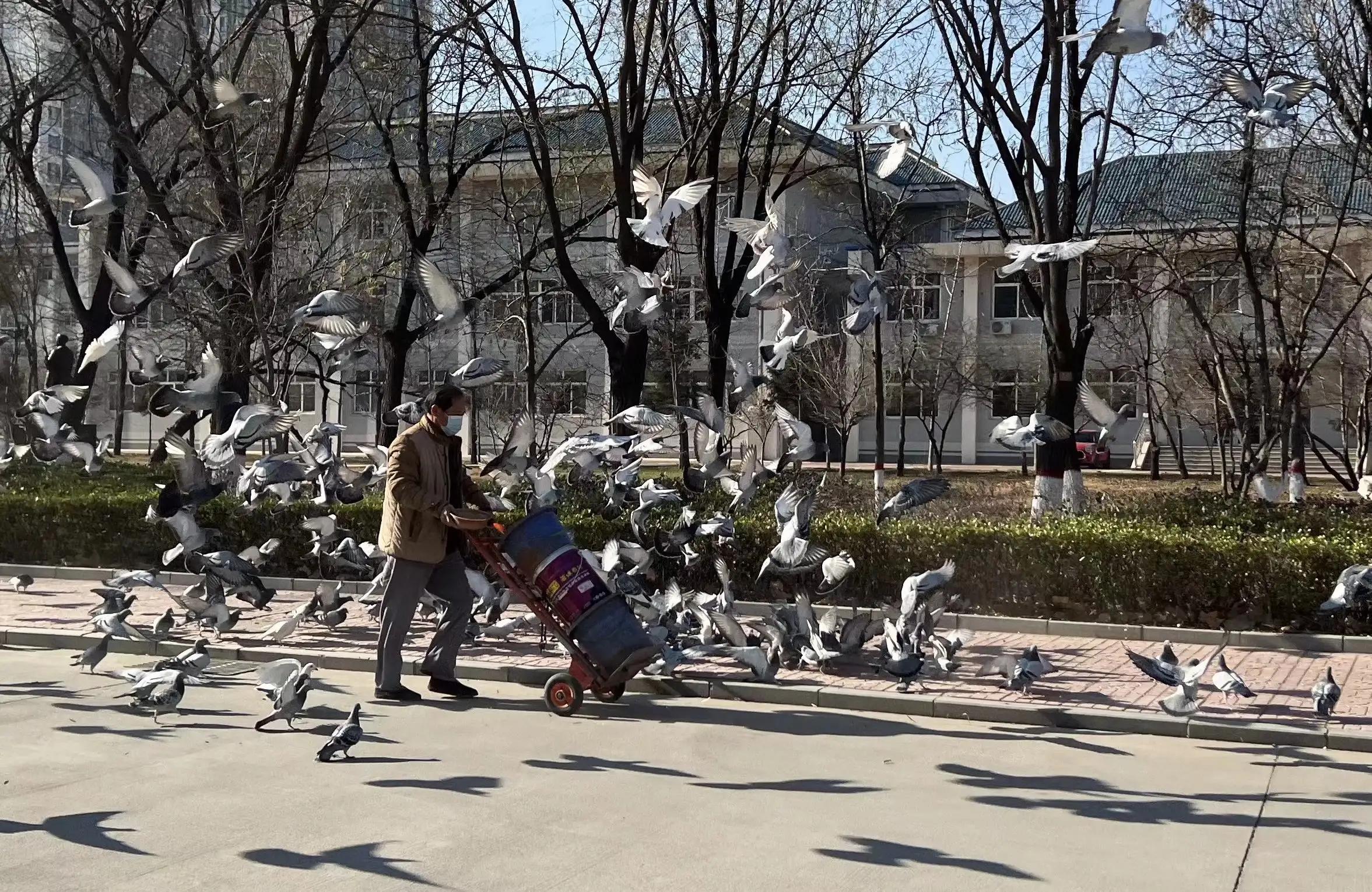 一段走心而成熟的文案做好自己,文案男生成熟短句伤感