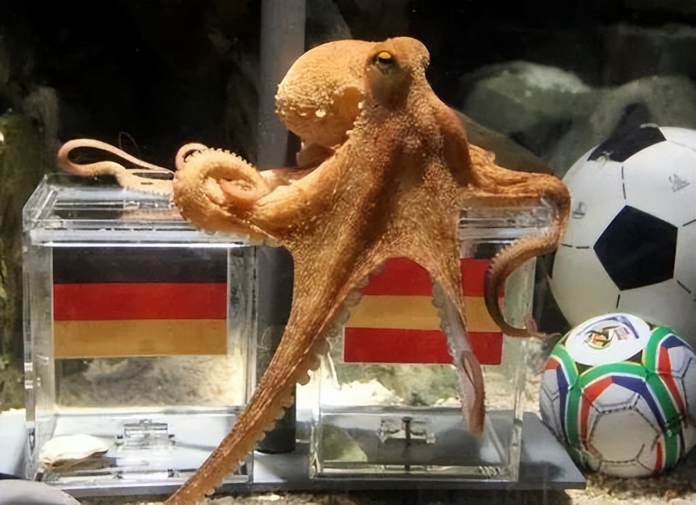 跟10个*球赌**的人聊了聊，他们告诉我几个秘密