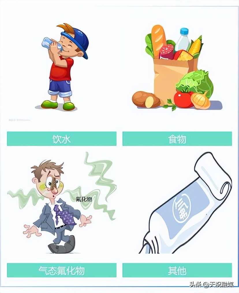 科普碳中和知识,氟元素科普