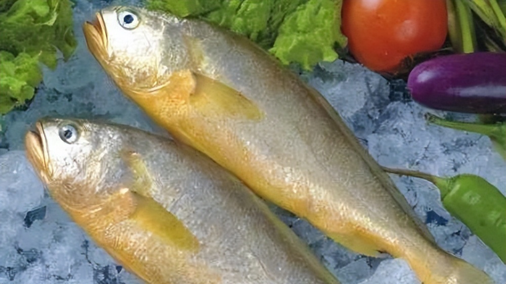 第五届农产品地理标志品牌,浙江知名农产品品牌