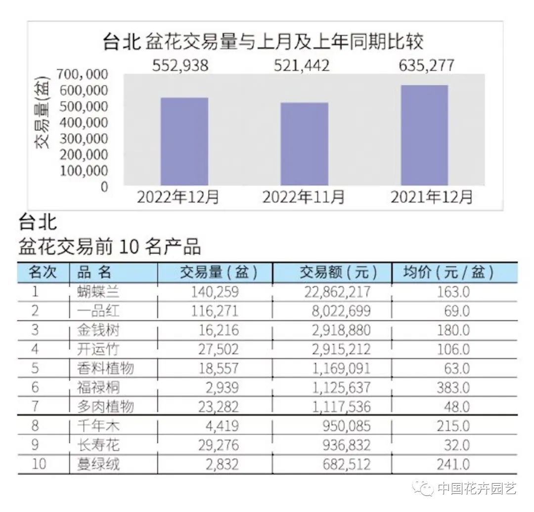 2022年12月各地盆花市场行情,盆花市场现状怎么样