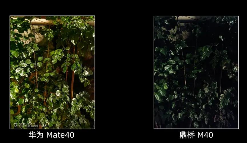 华为为啥上架鼎桥手机 (华为手机店里为什么有鼎桥手机)