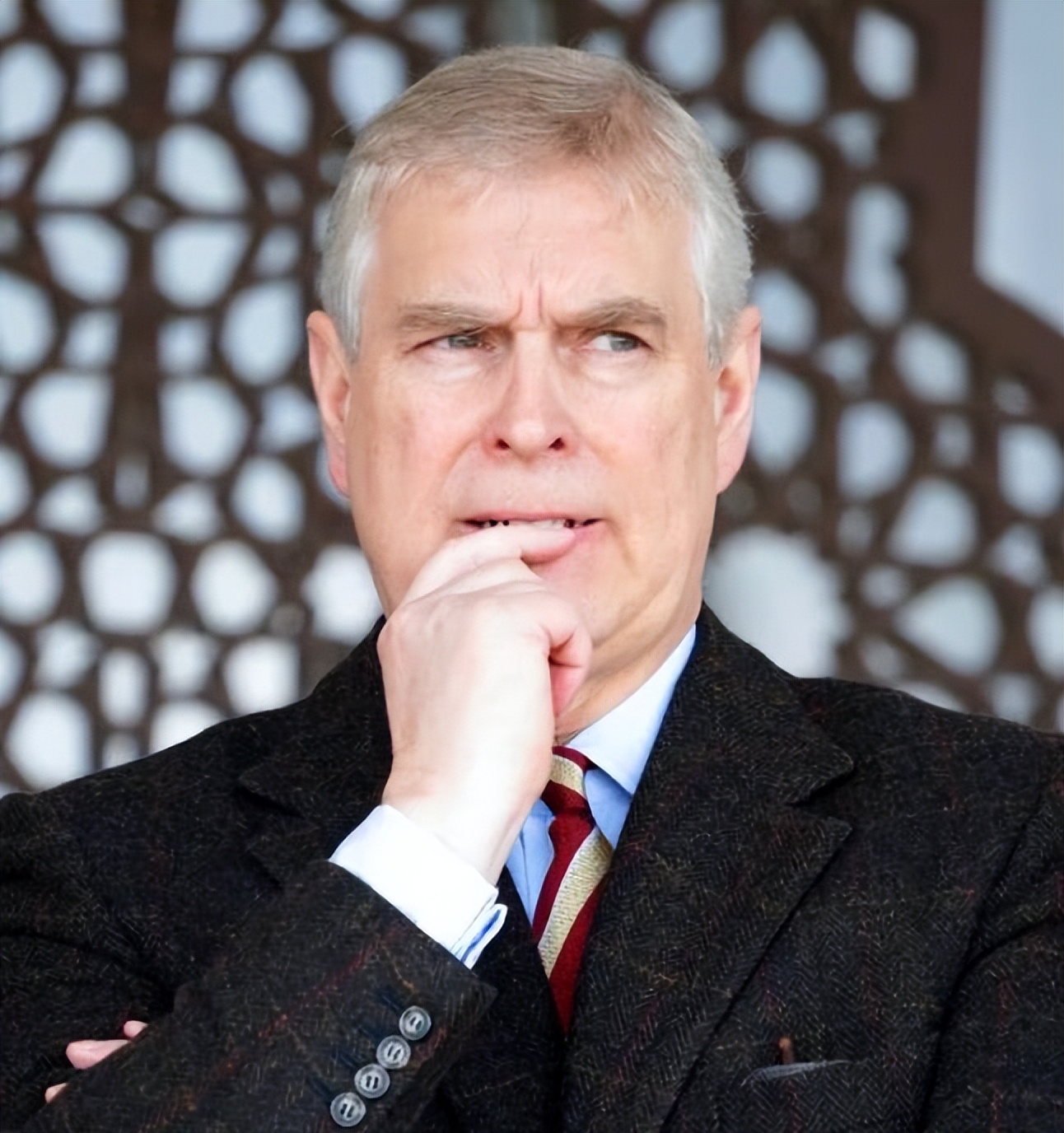 哈里王子安德鲁 (哈里王子和安德鲁)