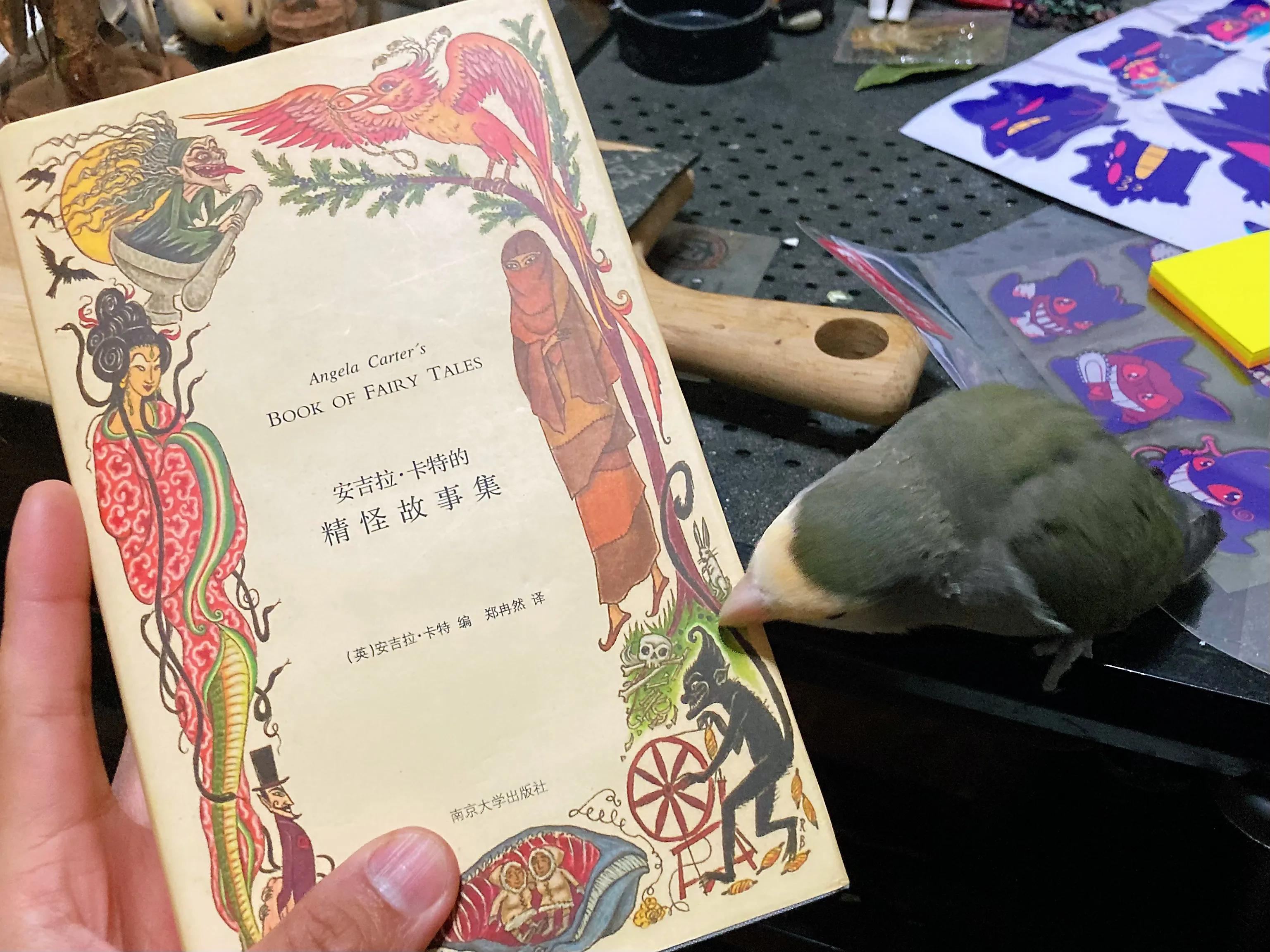 是的，我们有象鼻子，我们是女孩子