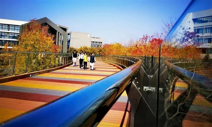 山东省青岛第六中学,山东青岛第六中学