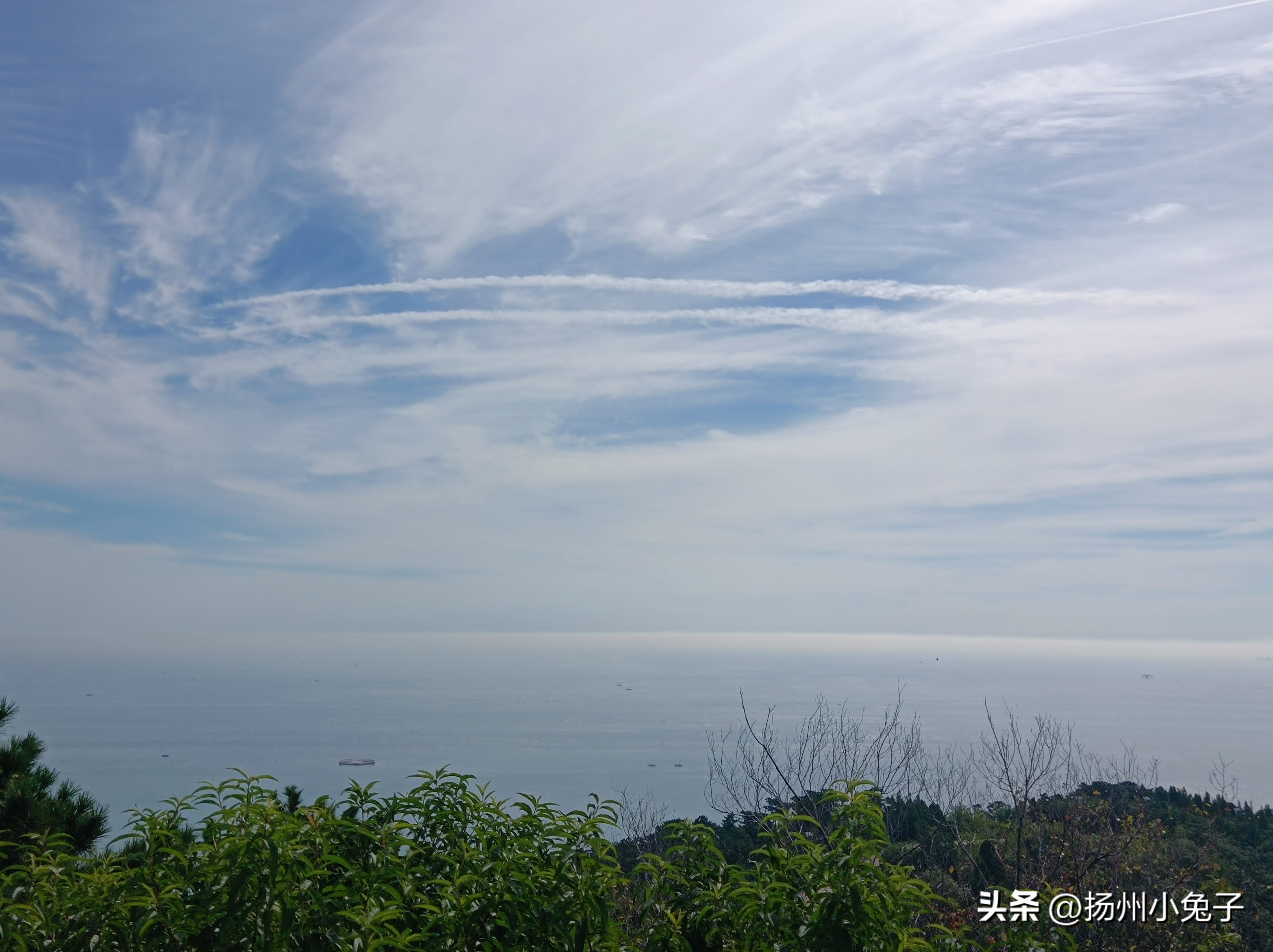 长岛森林公园,长岛林海烽山森林公园