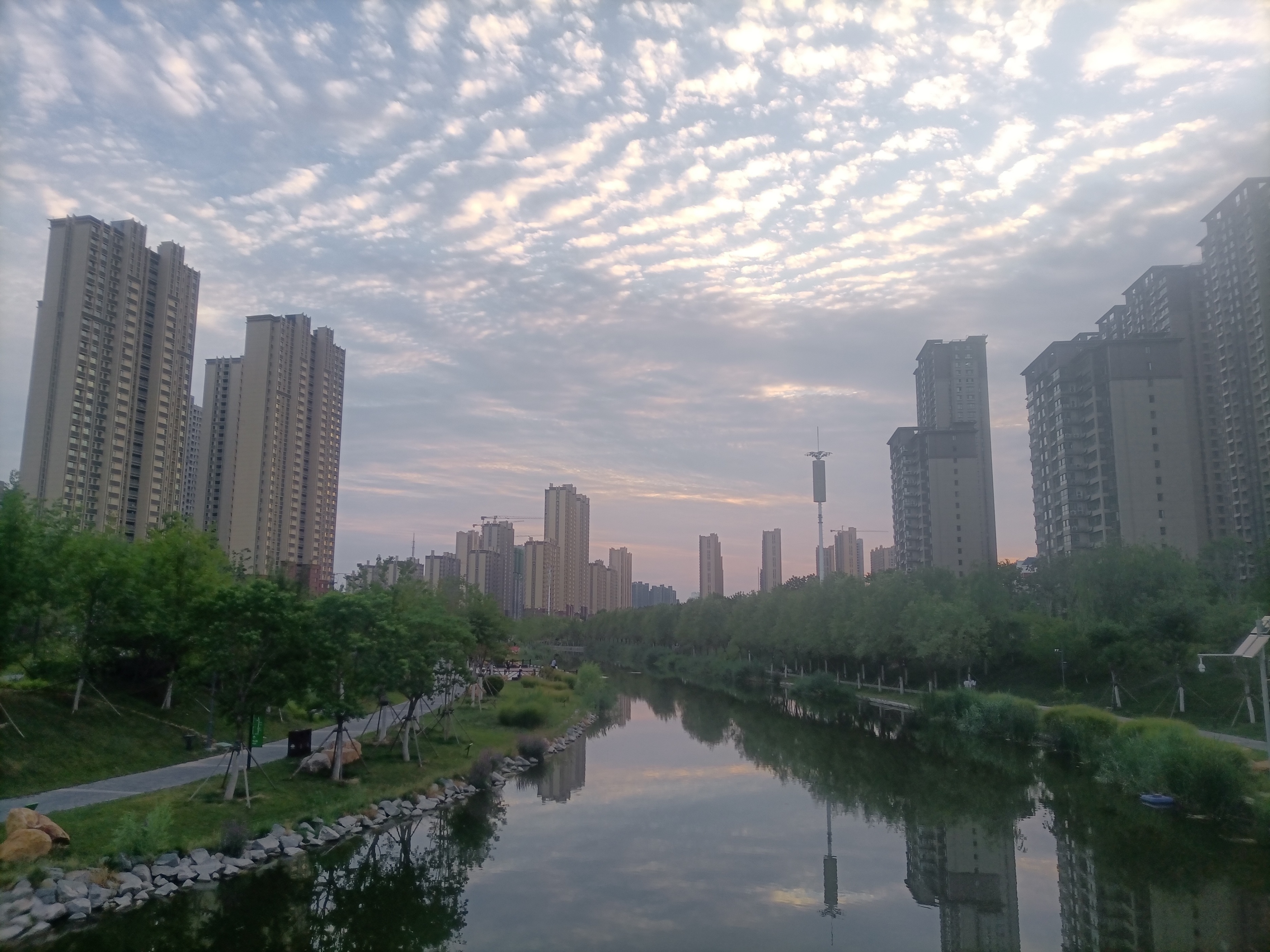 菏泽：你知道“天空鲤鱼斑，明天晒谷不用翻”的意思吗？