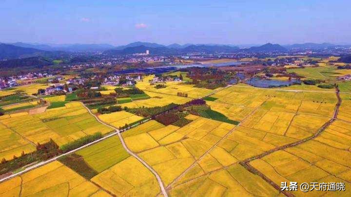 晓哥说天府新区全集,晓哥说天府第三期