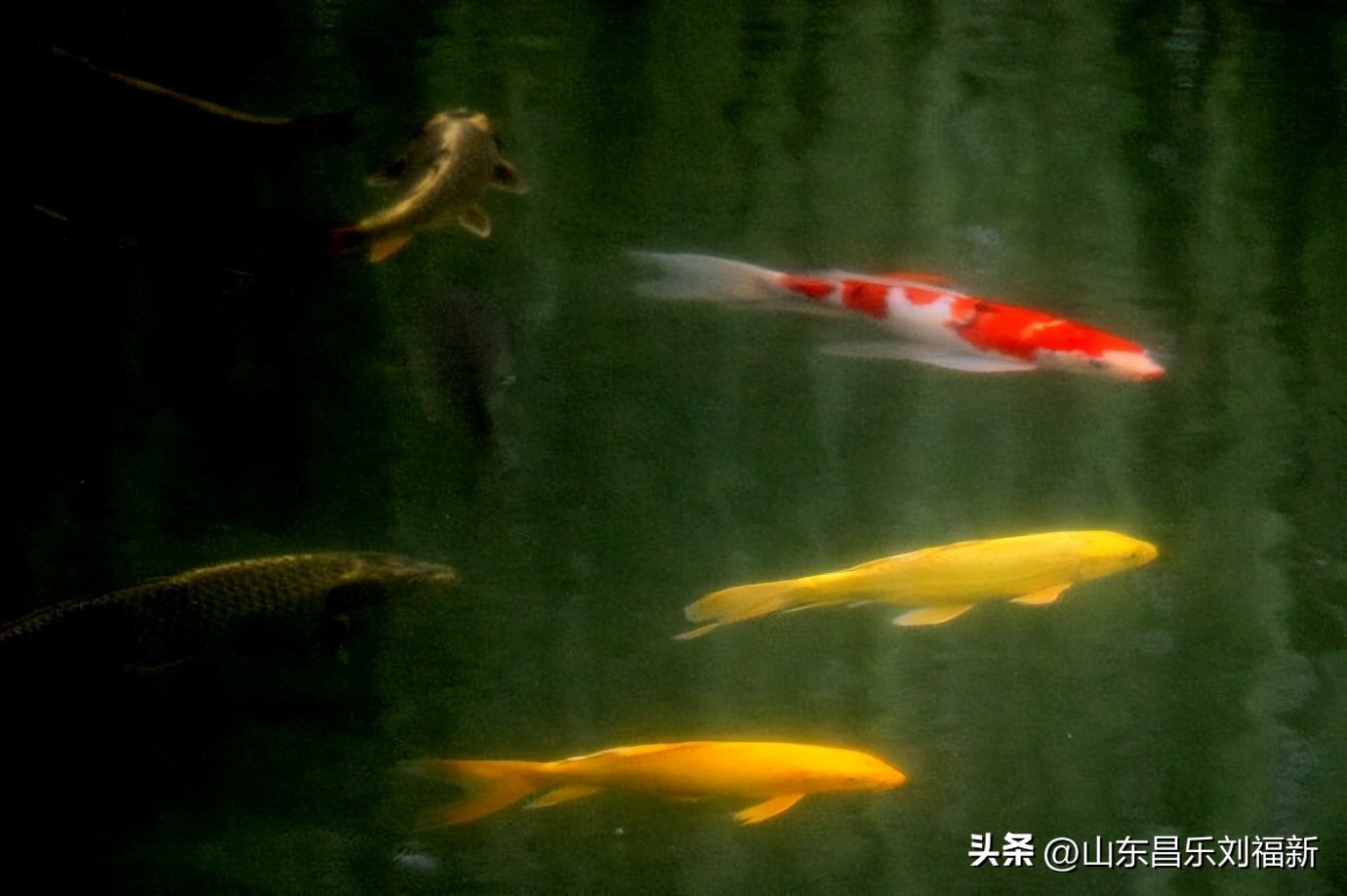阴雨连绵网易云,阴雨连绵网易云卡点