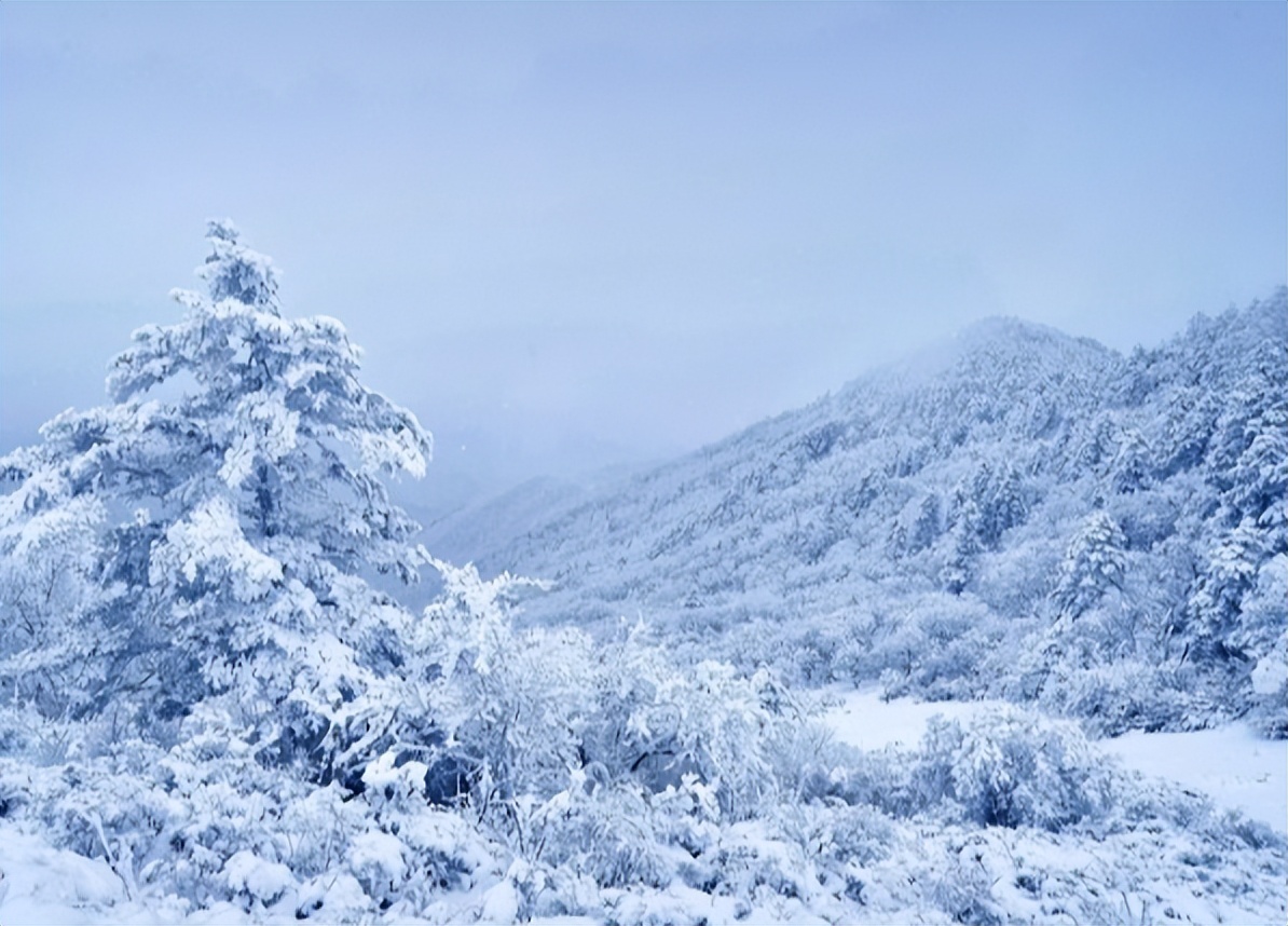 唐诗经典100首必背,240首必背唐诗