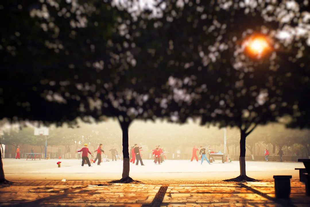 成都向上最新信息,年度向上力量合照