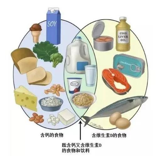 老年人膳食科普视频,平衡膳食的科普视频