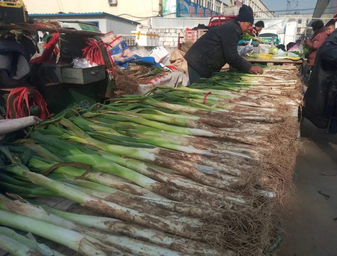 为什么叫山东大葱,为什么大葱用葱白不用葱绿