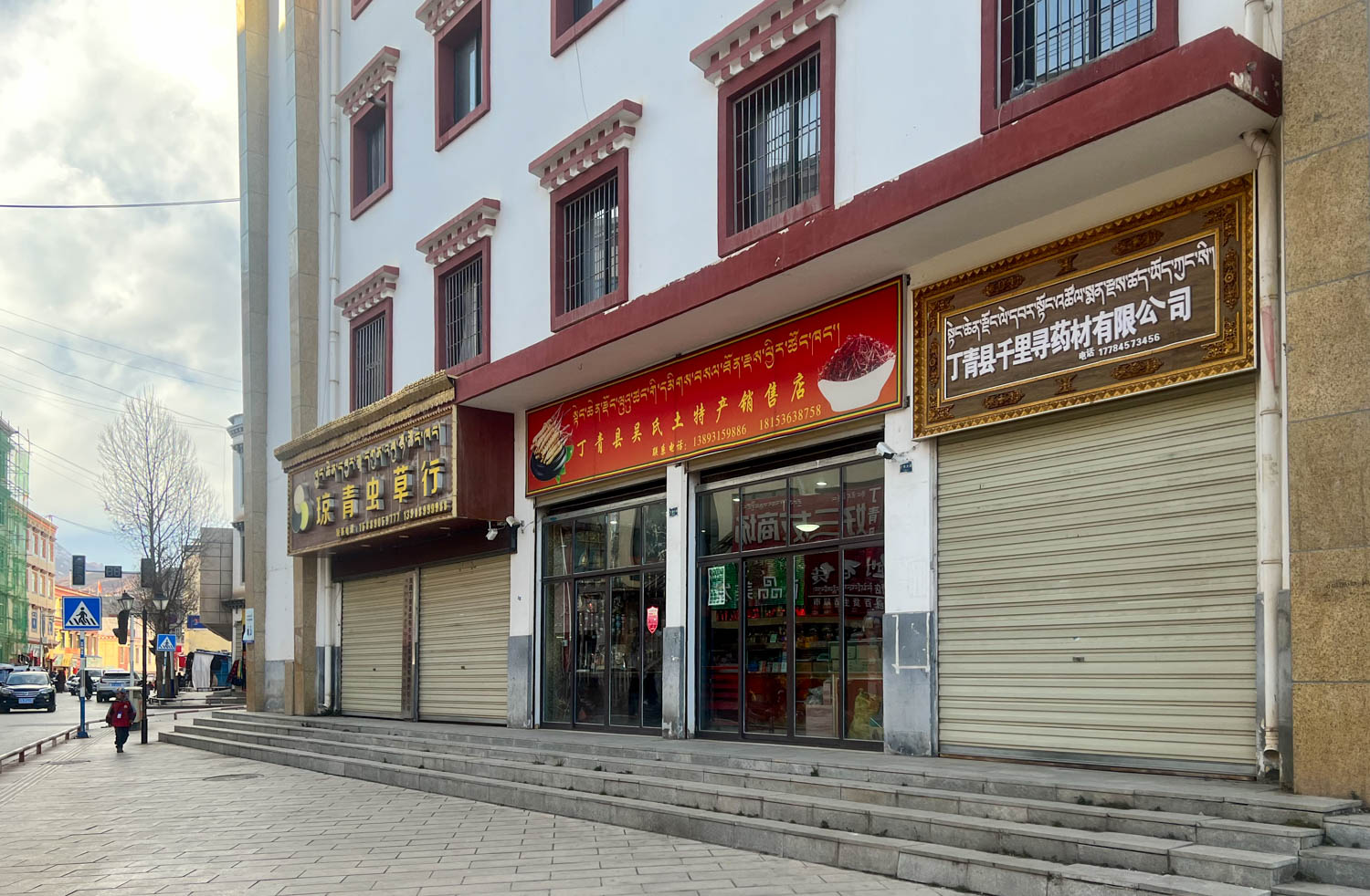 *藏西**东部小城，风光举世闻名，满街都是虫草店，一生一定要游一次