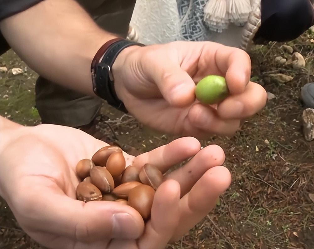 摩洛哥踢球干净吗,摩洛哥是怎样的一支球队