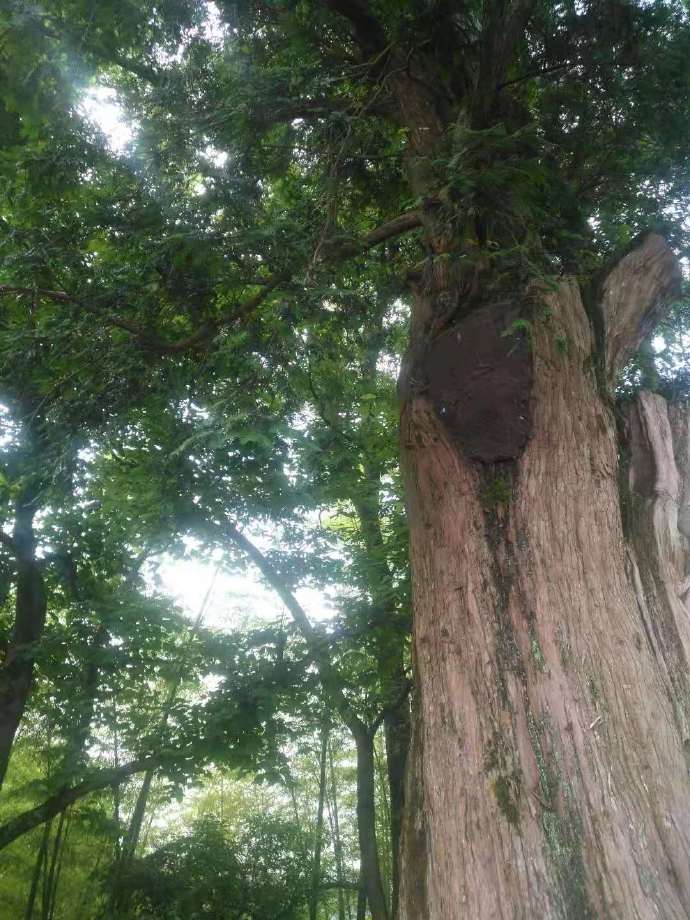 磐安乌石村免费景点,磐安乌石村夜景