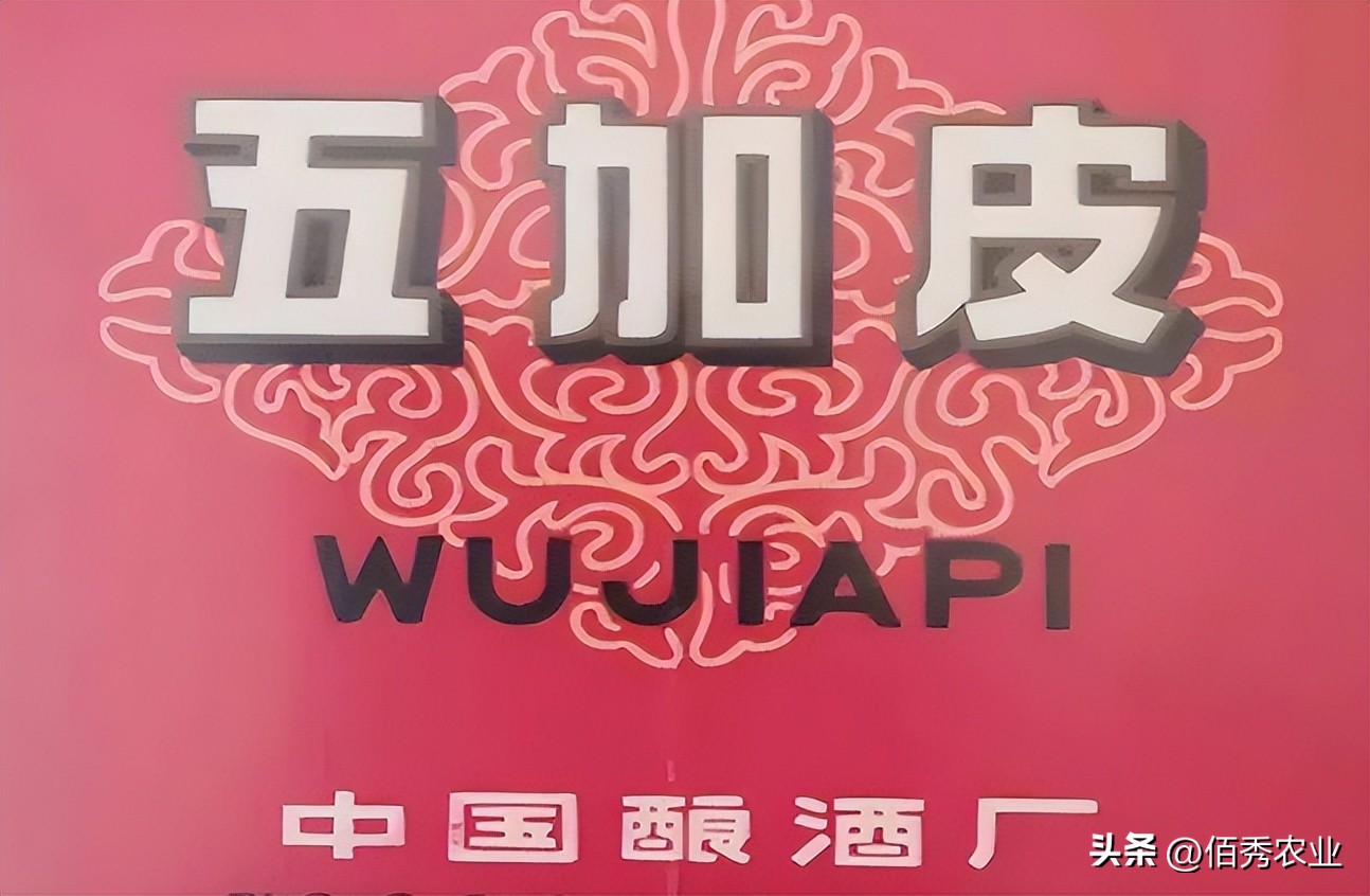 老字号白酒陨落,中国十大倒闭白酒