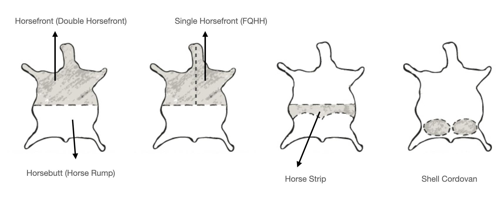 鞋方面的专业术语,关于鞋品介绍的专业术语