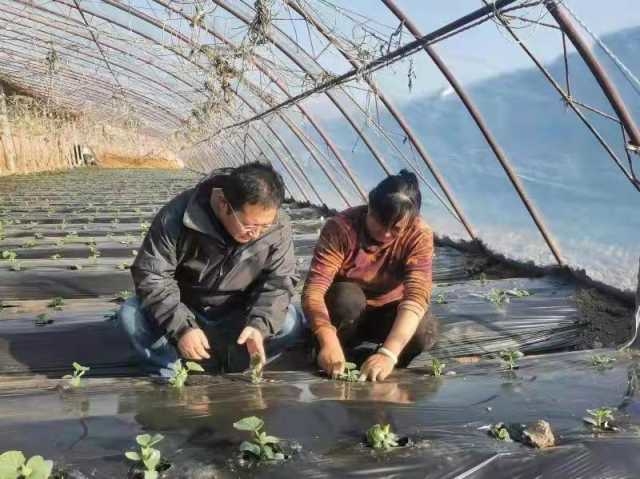 最美公务员马学锋,学习最美公务员先进典型事迹