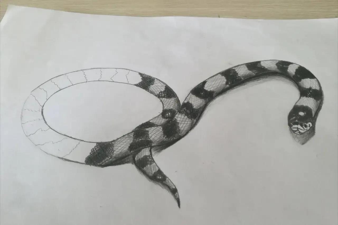 蛇的身体还有四条腿,蛇的脊椎结构