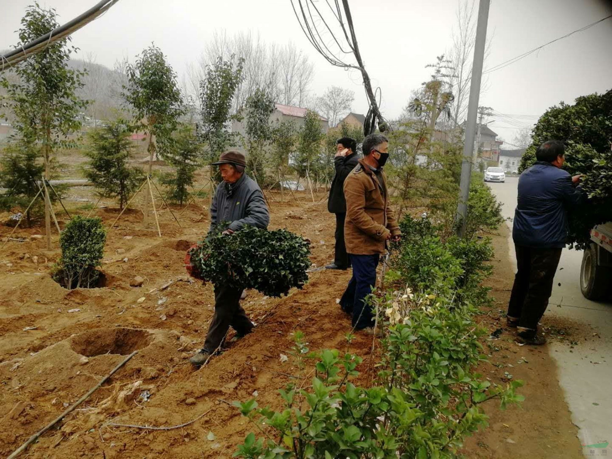 农民用地下水浇地违法吗,抽地下水灌溉农田违法吗