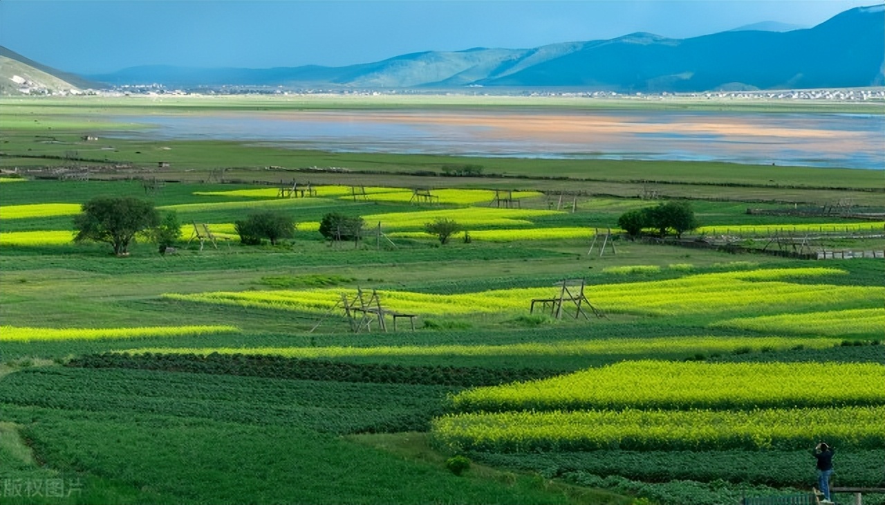 云南香格里拉旅游攻略自由行攻略,云南香格里拉自由行旅游攻略大全