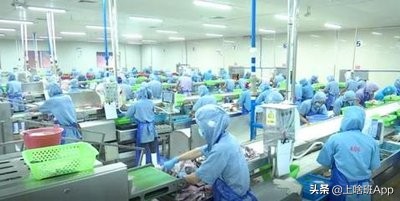 还在找工作的打工人,打工赚钱最容易的工作