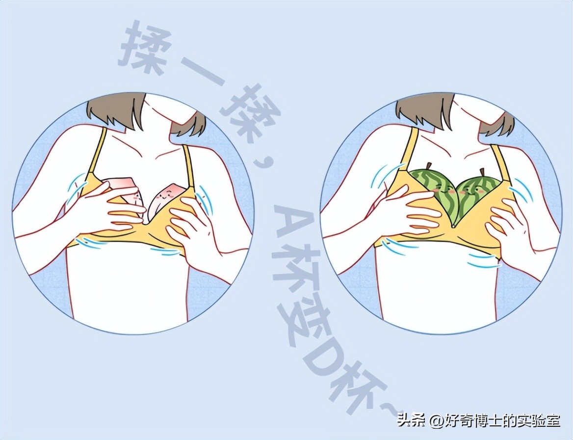 女人的胸部，为啥不能随便乱揉？