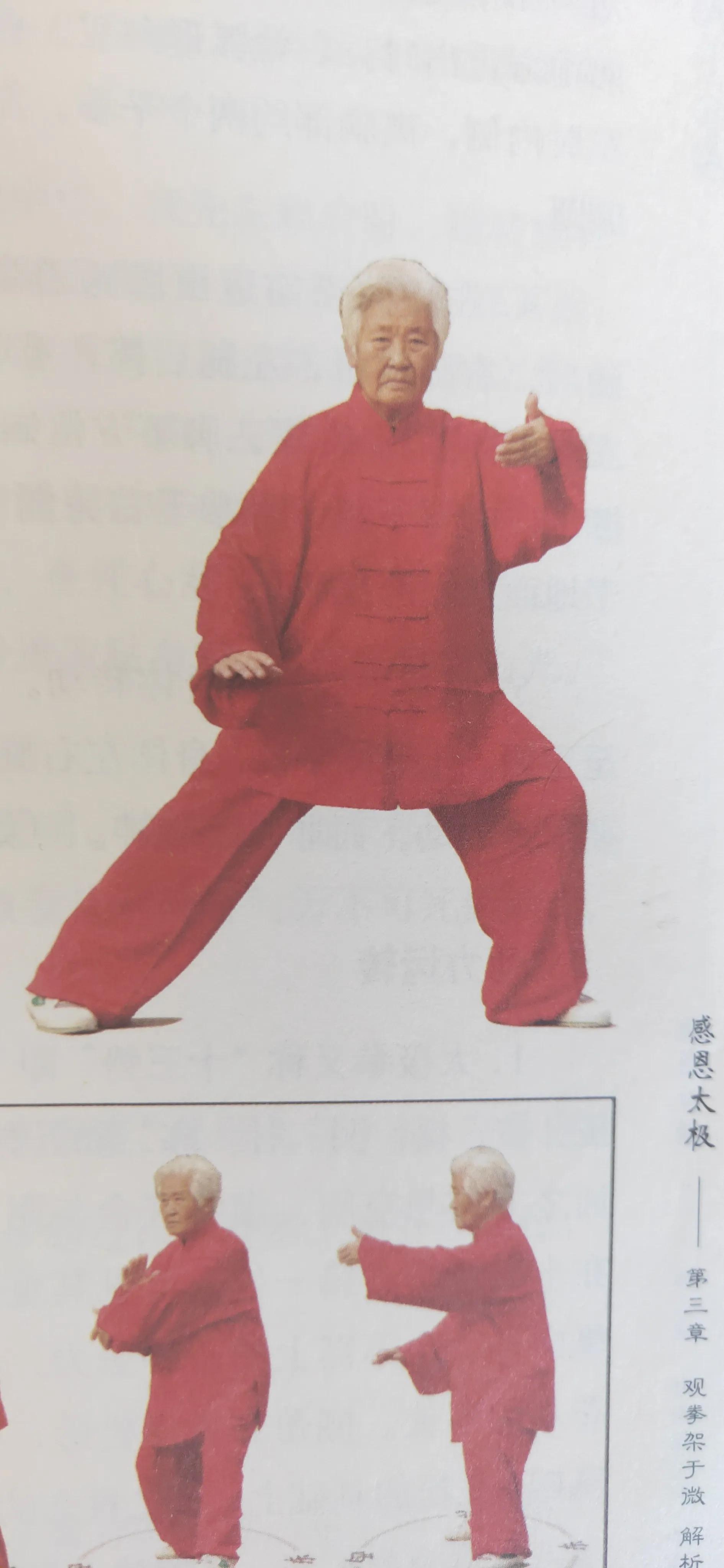 太极拳掤的基本动作,杨氏太极拳中的掤捋挤按八法