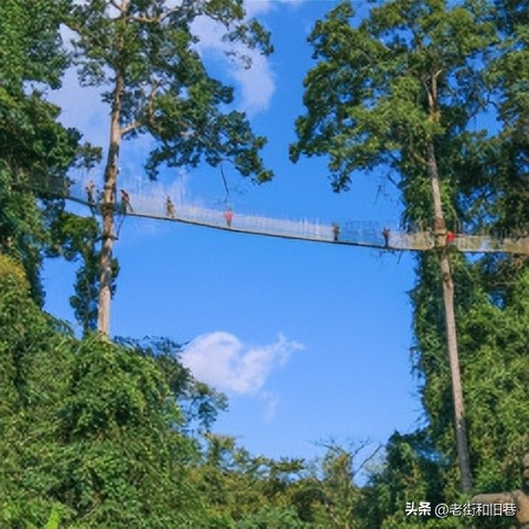 为什么说四季都适合去云南玩,去云南哪个季节去最好玩