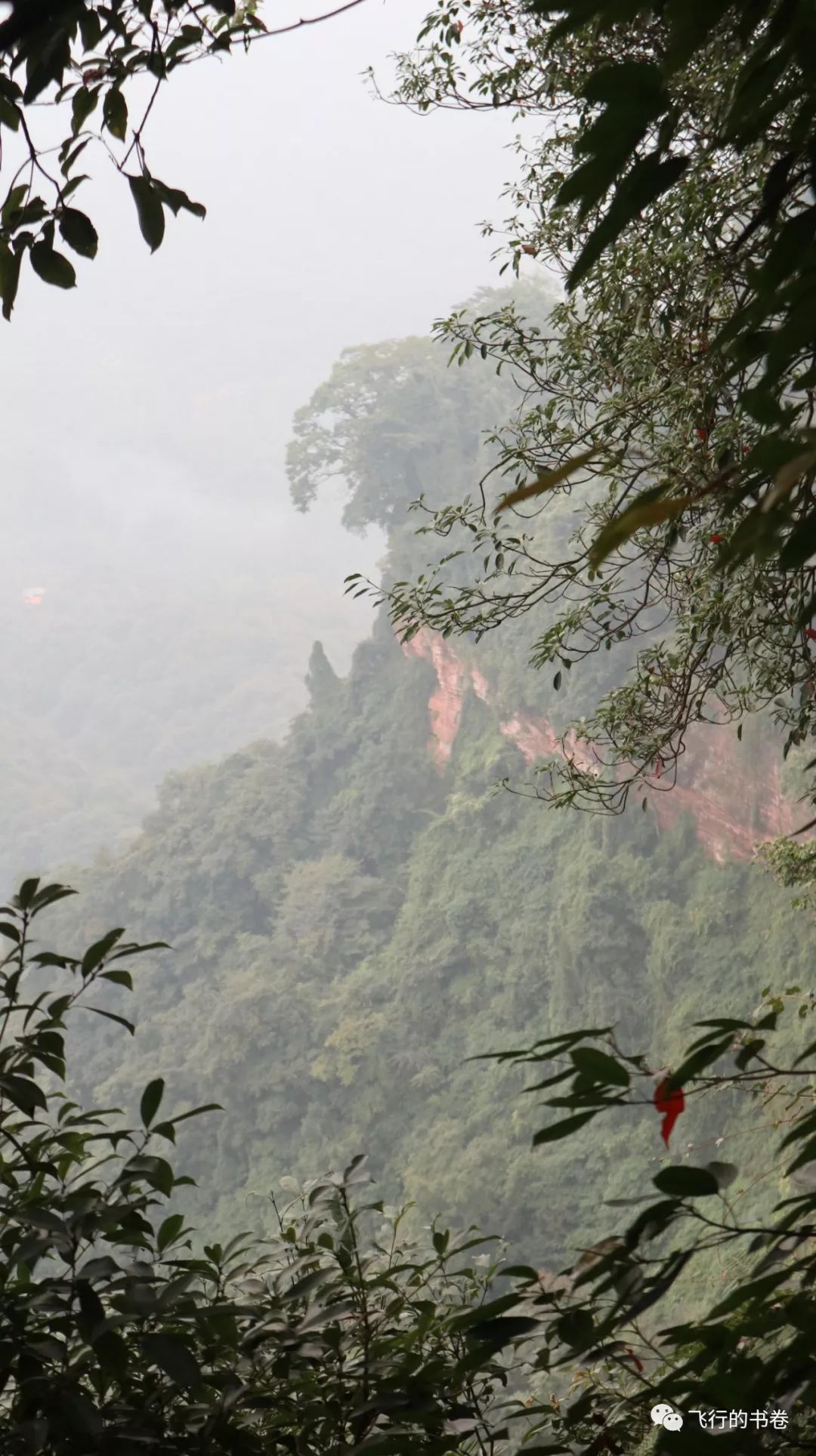 道教四大仙山你爬过几座,青城山为什么被称作道教第一山