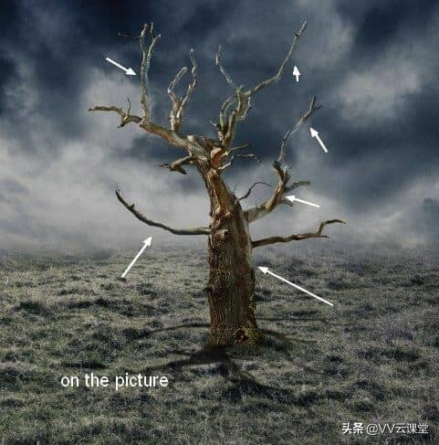 在Photoshop中创建带有月亮的树的超现实图稿，VV云课堂教程