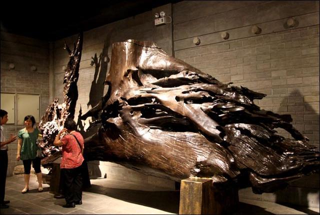 上亿乌木案,四川乌木案件乌木去了哪里