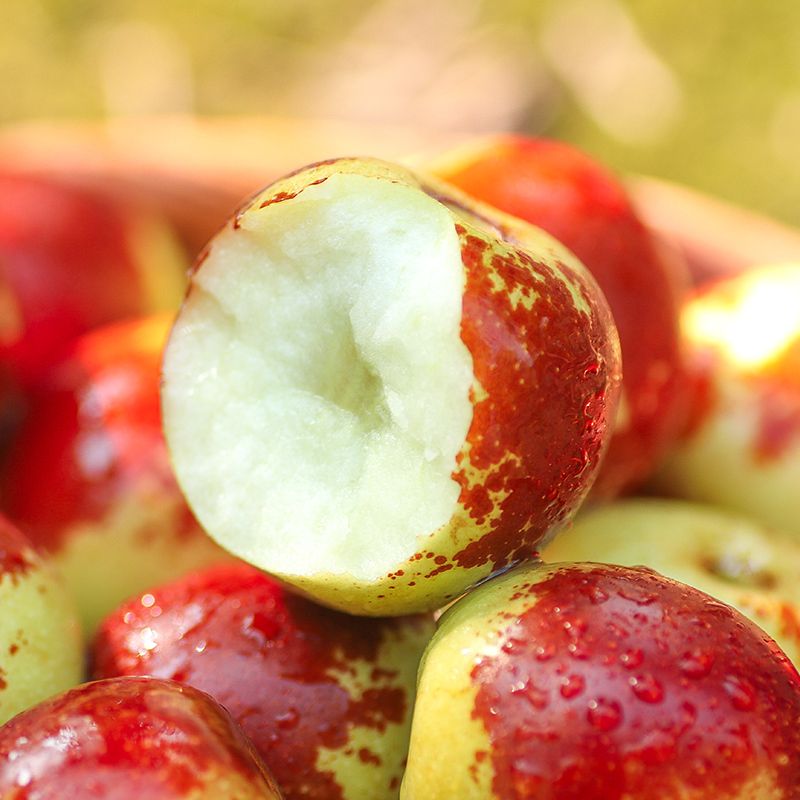 沾化冬枣水果之王,冬枣排名第一的水果