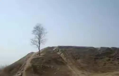 曹县孟宪军,曹县第三中学校长