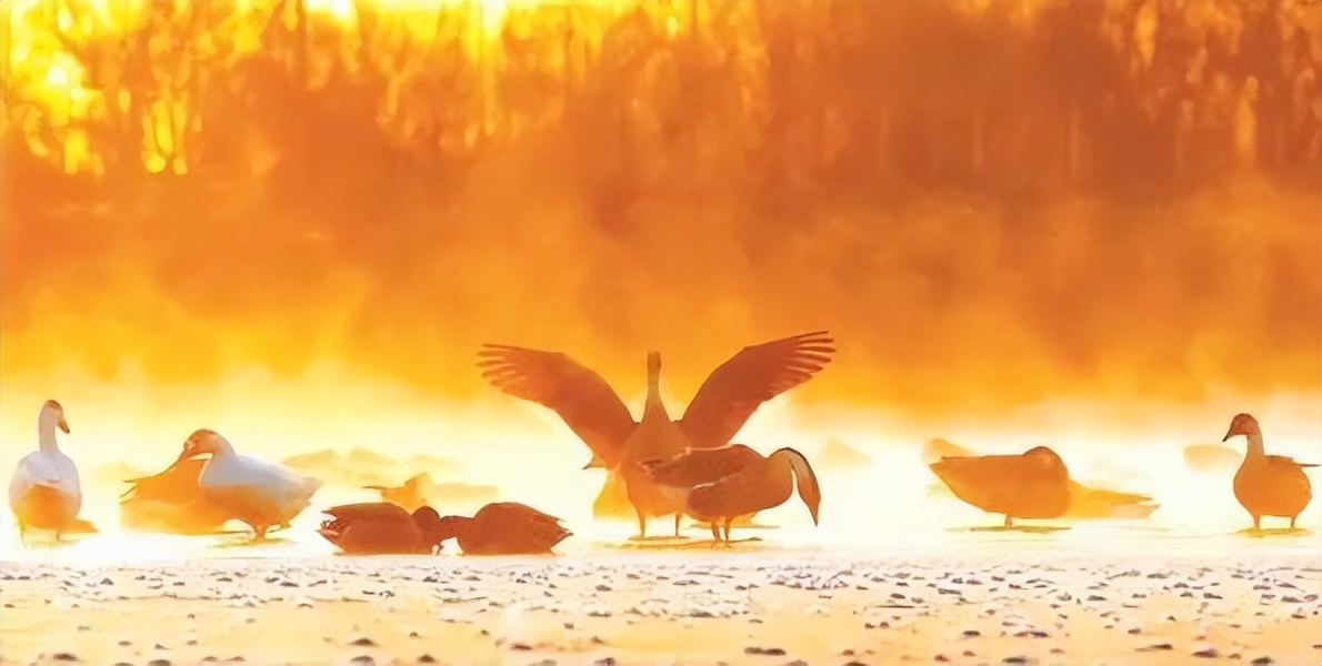 鸿雁巴彦淖尔市市歌,歌声里的内蒙古