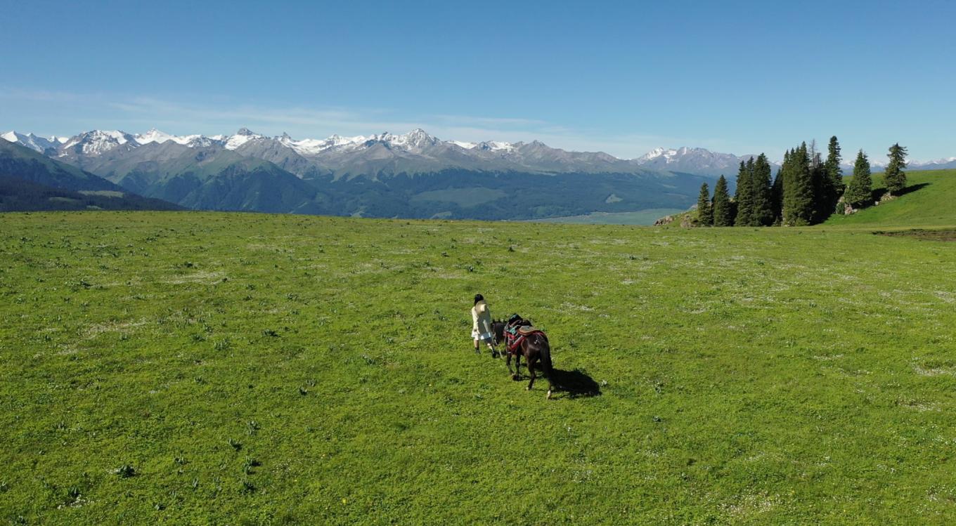 新疆伊犁之美,走了一圈才发现世界万物远不及你
