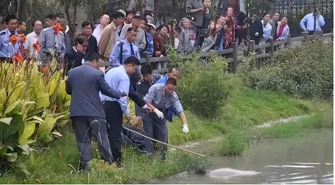 天津男子捡回女乞丐,天津男子带女乞丐回家当老婆